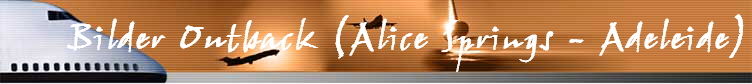 Bilder Outback (Alice Springs - Adeleide)