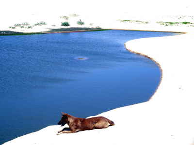 Weisse Dnen von Mui Ne