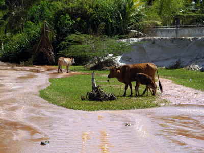 Wanderung durch Bach in Mui Ne