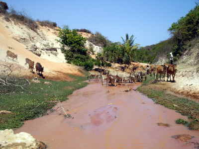 Wanderung durch Bach in Mui Ne
