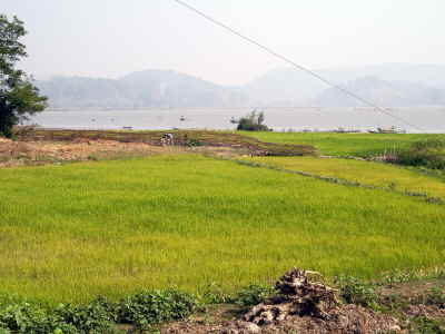 Umland Lak