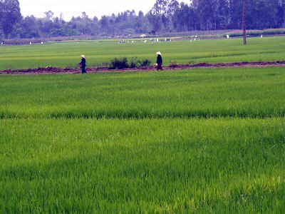 on the road...kurz vor Hoi An